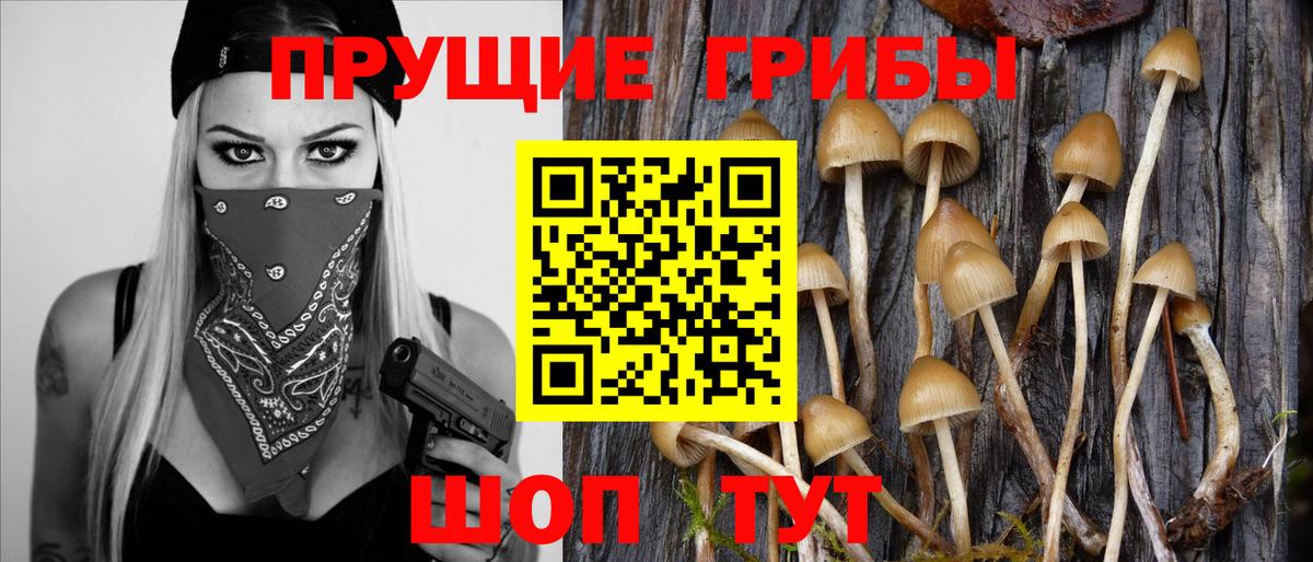 Псилоцибиновые грибы Magic Shrooms  Вход с VPN  Осинники 