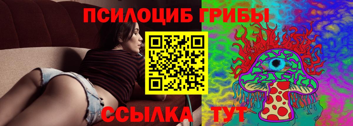 Галлюциногенные грибы Psilocybine cubensis Осинники